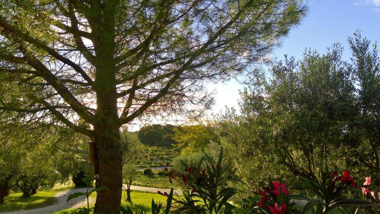 BuissonSous Le Figuier...公寓 外观 照片